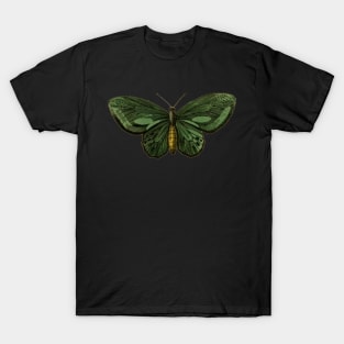 Green Illustrated Moth - Vintage Illustration T-Shirt